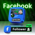 FB Page Like+Follower